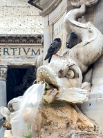 Rome Fountain nr Pantheon IMG_E1049 copy