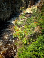 Saguenay Mars River Aug24 IMG_3652 copy