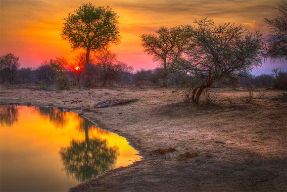 Safari Sunset 18x24