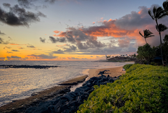Sunset Observers Kauai IMG_9255 copy (1)