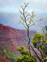 Waimea Canyon Kauai IMG_9147 copy (1)