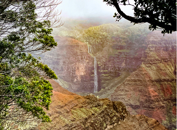 Waimea Falls Kauai IMG_9141 crpd copy (1)