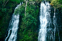 Opoaekaa Falls Kauai_DSC8737 copy