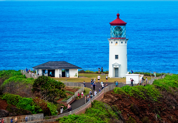 Kilauea Lighthouse Kauai_DSC8512 copy