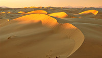 Sunrise on the Dunes scw e2023 copy