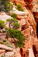 DSC_9434_GrandJunction_JDPEdits_Feb2023_8x12