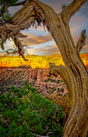 scw GrandJunction IMG_7482 edit2019v2 Mar10 copy