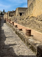 Herculaneum CVRX9286 copy