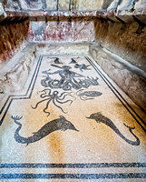 Herculaneum IMG_1637 copy