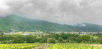 Rome to Fasano Countryside IMG_E1100 copy