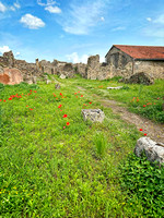 Pompeii IMG_1730 copy