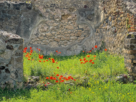 Pompeii IMG_1727 copy