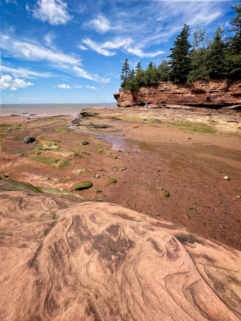 Halifax Bay of Fundy Aug 19 IMG_3357 copy