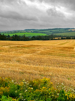 PEI Farmland Aug21 IMG_3499 copy