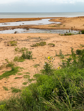 PEI NorthRusticoBeach Aug21 IMG_3475 copy