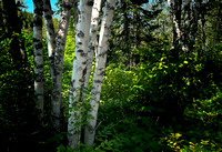 Saguenay Mars River Aug24 IMG_3679 copy