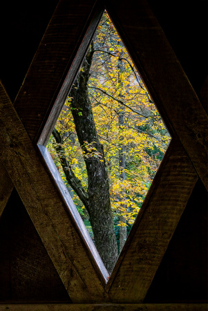 Foster SwampMeadowCoveredBridge _DSC2244 copy