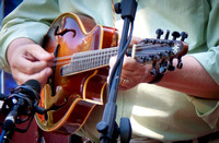 BriarPatch_2011-0507-2