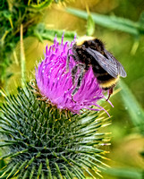 scwEcolaStPark-2-12 copy