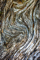 DSC_4877_LarchMtn_jdp_8x12