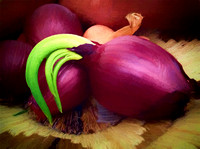 Onion Still Life IMG_0388v2