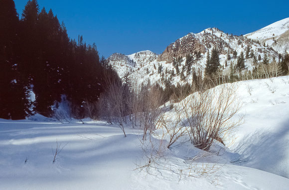 Winter Wasatch Mtns reScan 2022 2 copy