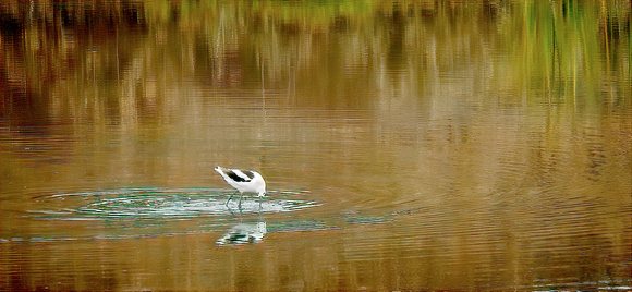 DSCN3064_JDPEdits_Nov2022_3x7
