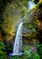 Rick_scw IMG_1350 copy_e7Mar2024 copy 5