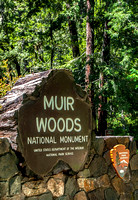 Muir Woods
