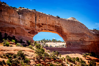Wilson's Arch SCW_4381