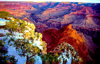 Untitled-22_GrandCanyon98_JDPEdits_May2020_4x6