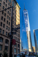 WTC-Morning-Wood 08-Aug-2016