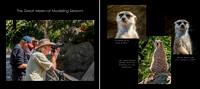 2pg Meerkat copy