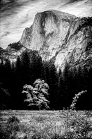 Yosemite 1997