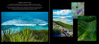 Meditation Garden wOcean23May copy